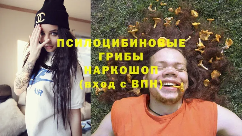 Псилоцибиновые грибы MAGIC MUSHROOMS  гидра ссылки  Татарск  где можно купить  